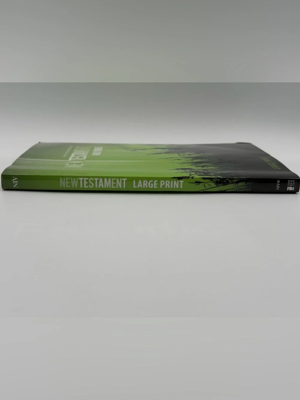 New International Version New Testament Holy Bible Large Print (2011, Paperback)